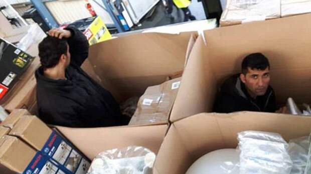 Американский коп посмотрел видео задержания в Питере и ушел на больничный