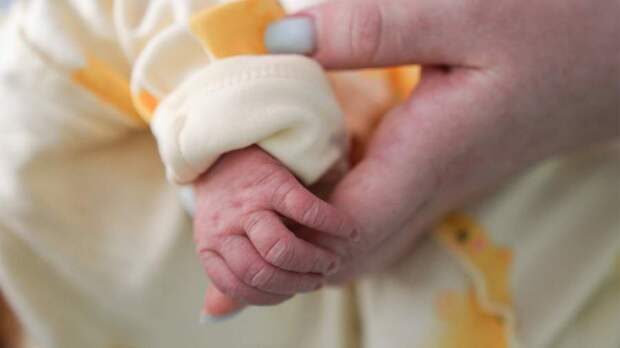 Семейный бонус: предложения по модернизации маткапитала представят к декабрю