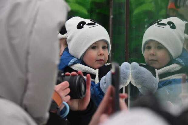 В Госдуме хотят ввести режим совместного воспитания детей при разводе родителей