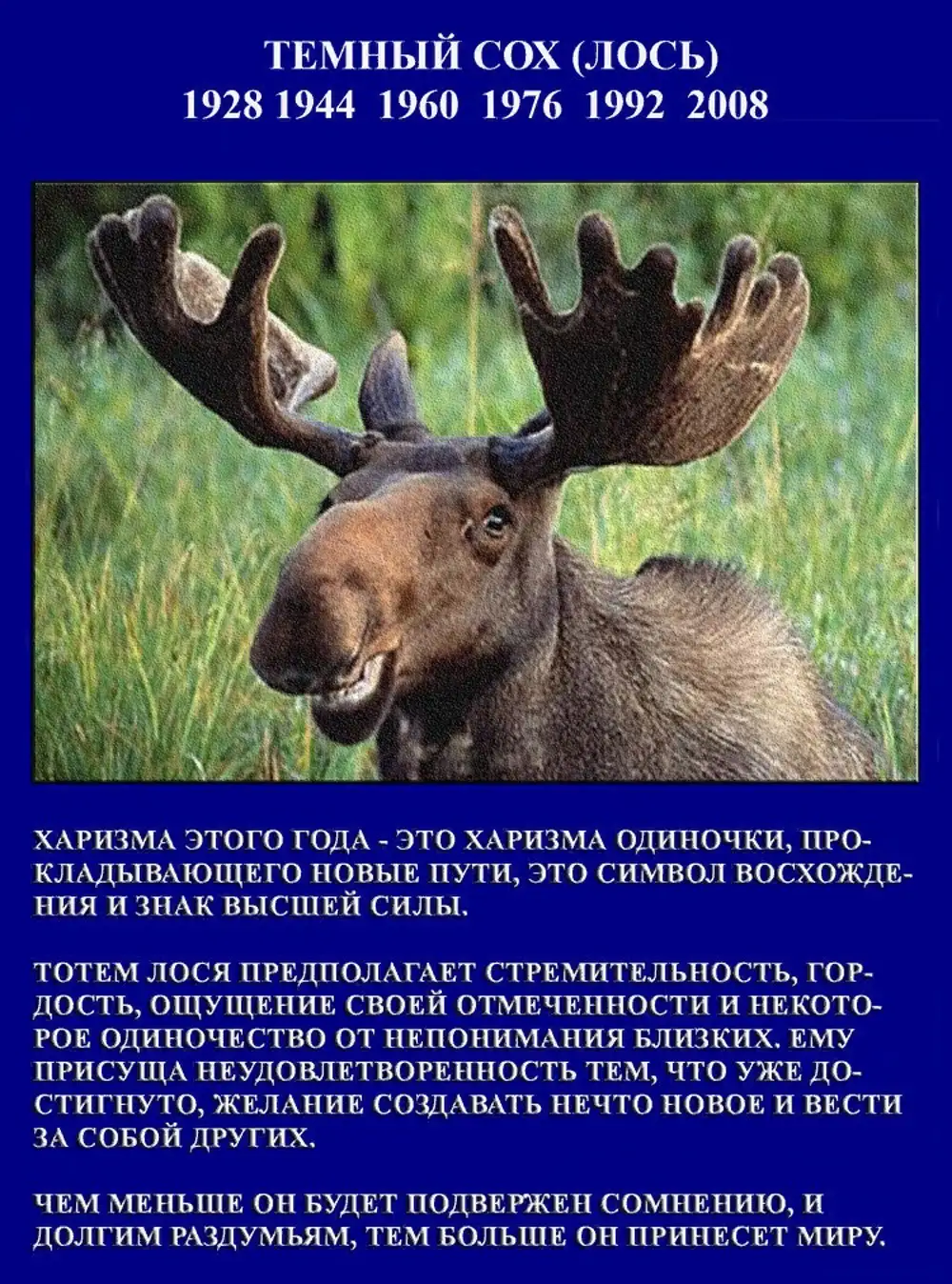 Чертоги рождения славян лось. Драка лосей. Я по ней сох. Лось. Я по ней сох.