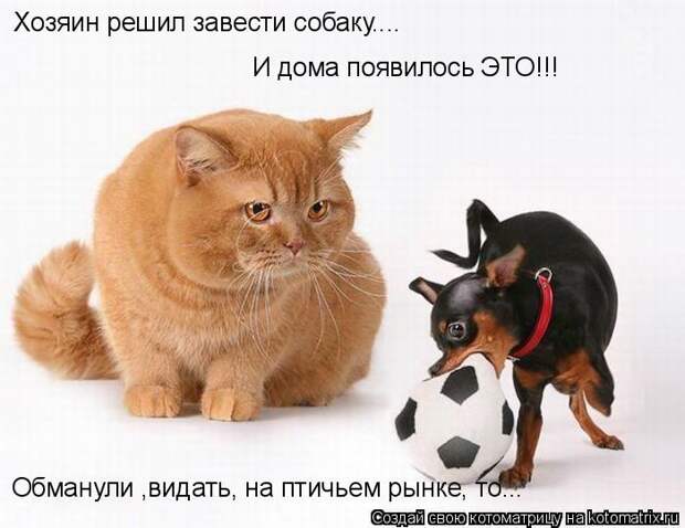 Мысли вслух :)