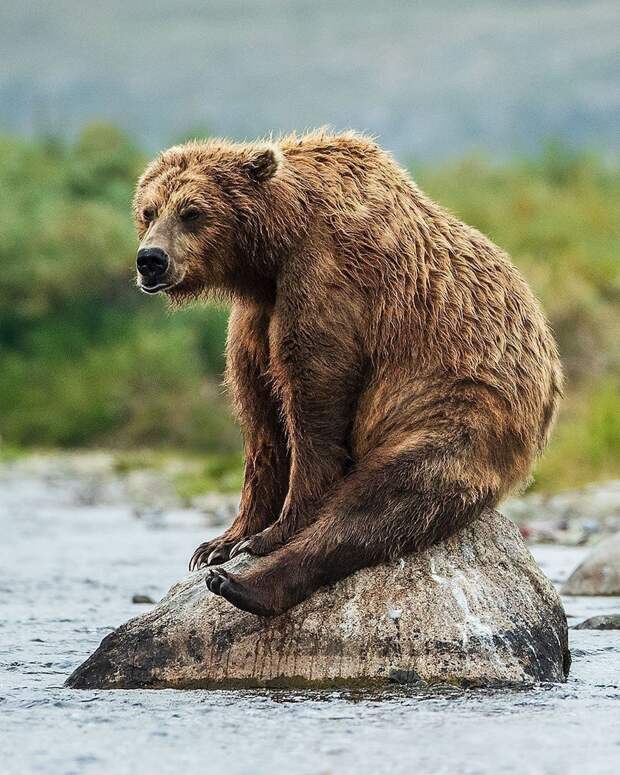 kartinok-veselyh-interesnyh-kartinki-smeshnye-kartinki-fotoprikoly kartinok-veselyh-interesnyh-kartinki-smeshnye-kartinki-fotoprikoly