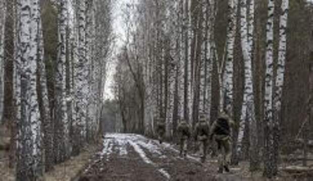 Тайная тропа ухилянта: Кто-то прикупил пару метров украинско-белорусской границы