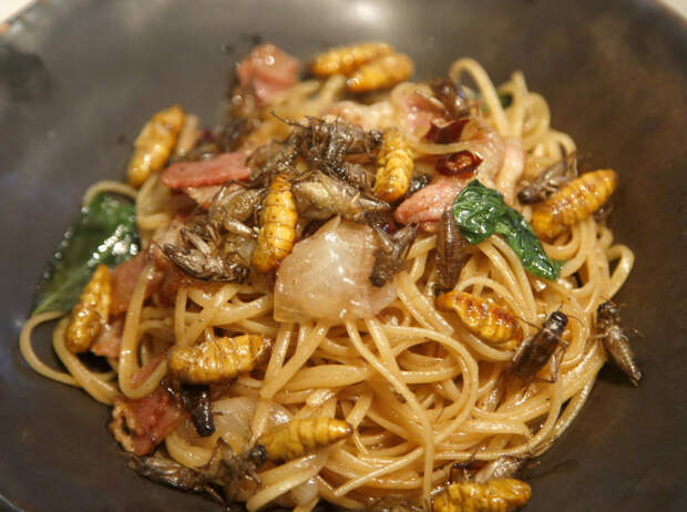 Приятного аппетита: тайские блюда из насекомых