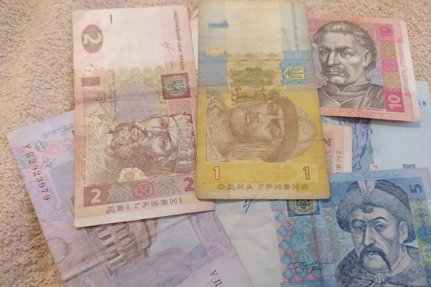 На Украине разворовали миллионы гривен из средств для инвалидов