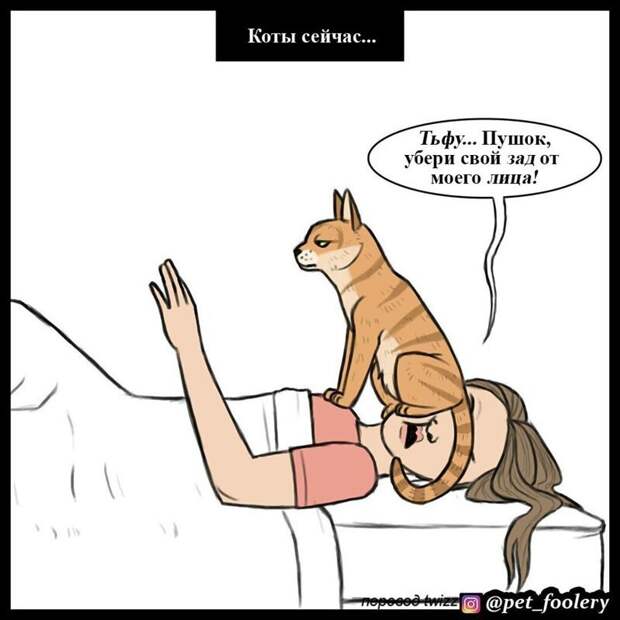 2. животные, комикс, кошка, кошки, рисунки, тогда и сейчас, юмор
