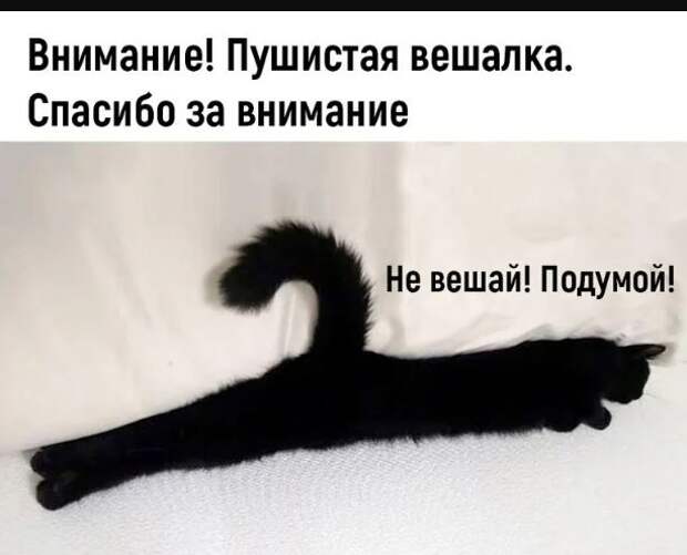 картинки с приколами для поднятия настроения (15)