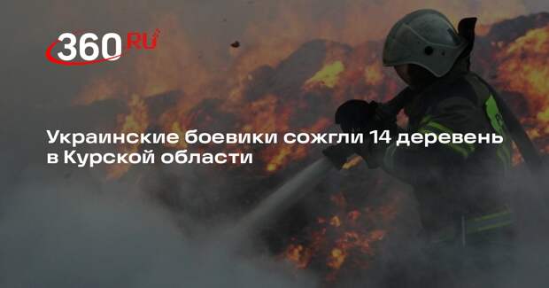 Депутат ГД Петров: ВСУ сожгли 14 курских деревень, вырезали скот и украли зерно