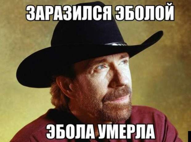 www.vsyako.net