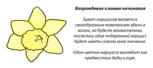 У каждого месяца есть цветок-покровитель. Какой он у вас?