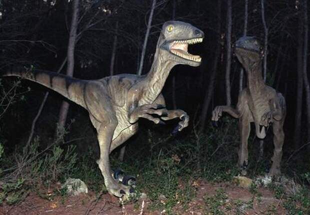 Учёные нашли прямое доказательство, что тираннозавр охотился на крупную добычу