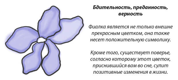 У каждого месяца есть цветок-покровитель. Какой он у вас?