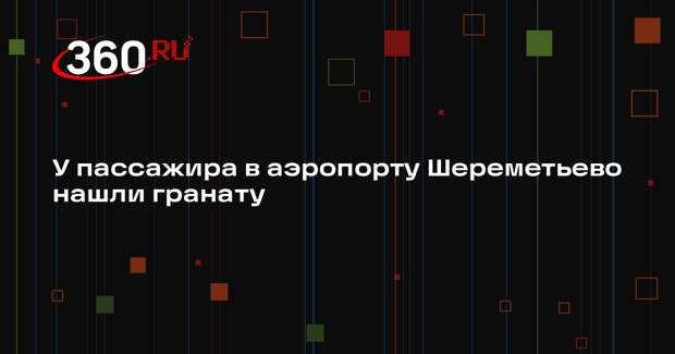 У пассажира в аэропорту Шереметьево нашли гранату