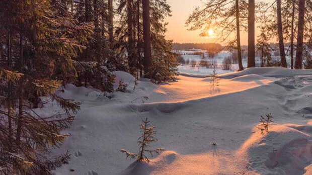 Проводы зимы. Яркие моменты этой зимы в фотографиях