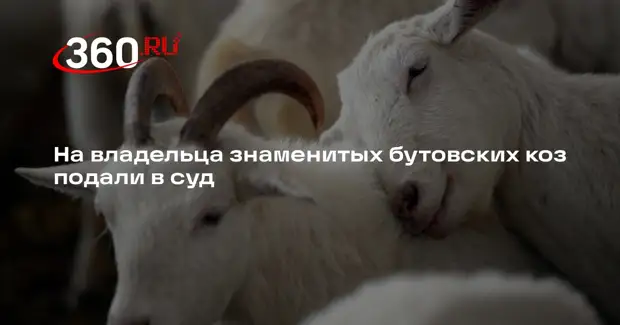 Пода ю. Пода ю