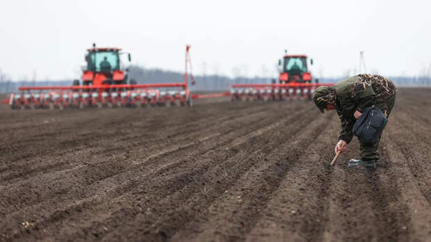Ростовская область ввела режим ЧС из-за заморозков