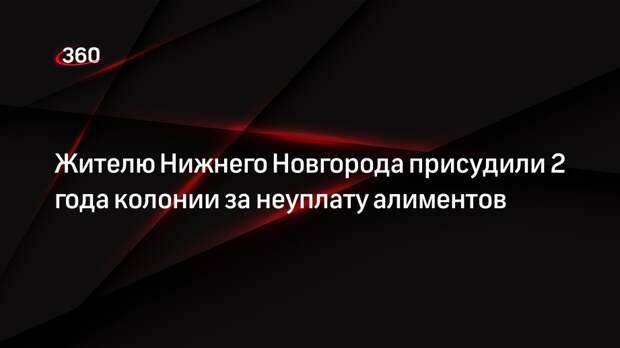 Жителю Нижнего Новгорода присудили 2 года колонии за неуплату алиментов