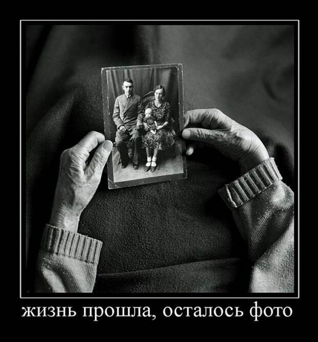 Демотиваторы (30 фото)