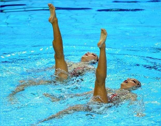 Виды спорта для девушек и женщин. Синхронное плавание