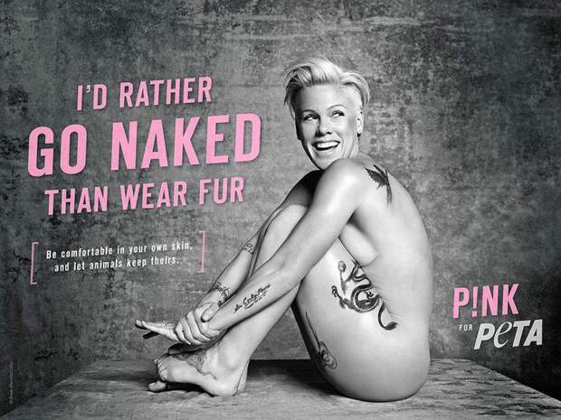 музыканты - защитники животных Пинк PETA