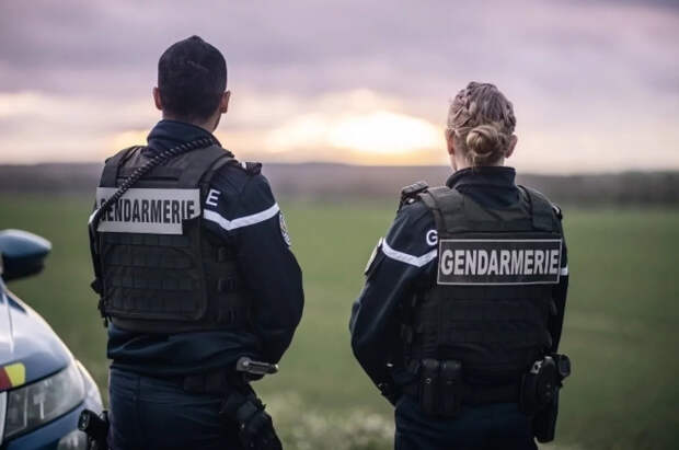 Во Франции число сожжённых автомобилей за новогоднюю ночь выросло до 1173