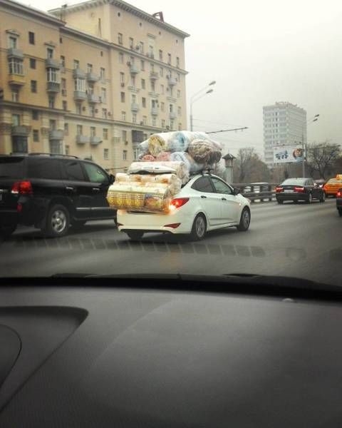 Прикольные картинки