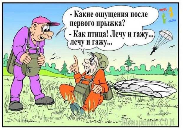 Анекдоты и смешные цитаты в открытках