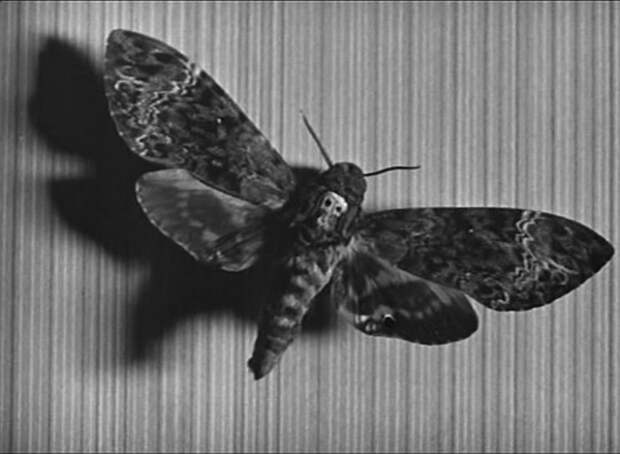 Кадр из фильма «Андалузский пес» Кадр из фильма «Андалузский пес»