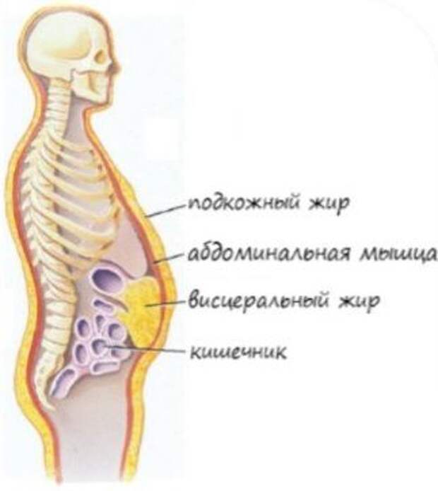 Программные ошибки Мироздания. Вес человеческого тела