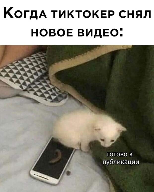 Смешные картинки 16 июля 2021