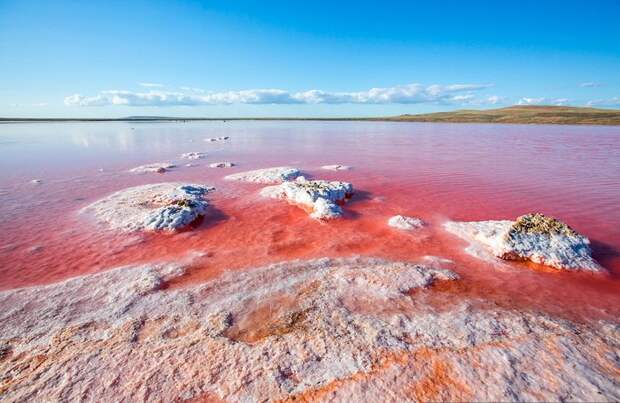 Розовое солевое озеро в Крыму. Автор фото: Сергей Анашкевич