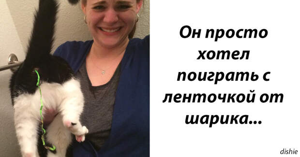 27 ÑÐ°Ð·, ÐºÐ¾Ð³Ð´Ð° Ð´Ð¾Ð¼Ð°ÑÐ½Ð¸Ðµ Ð¶Ð¸Ð²Ð¾ÑÐ½ÑÐµ Ð²ÐµÐ»Ð¸ ÑÐµÐ±Ñ ÐºÐ°Ðº Ð±Ð¾Ð»Ð²Ð°Ð½Ñ