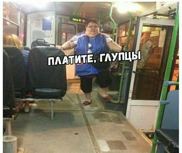 На что только не насмотришься в общественном транспорте На что только не насмотришься в общественном транспорте автобус, маршрутка, общественный транспорт, прикол, юмор