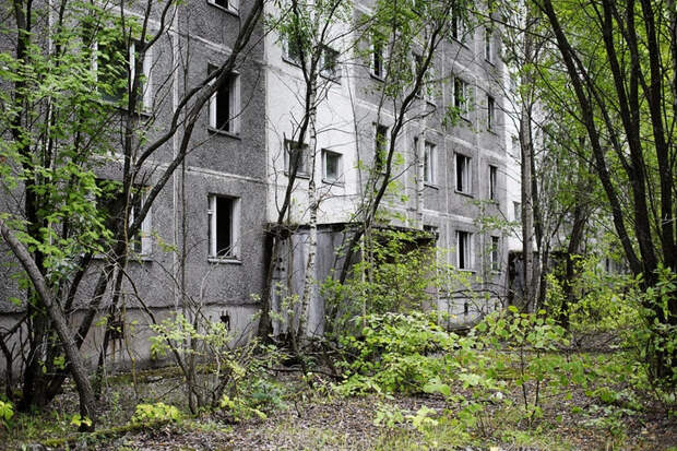 Зарастающие лесом и виноградником брошенные многоэтажки города Припяти | Источник: Денис Синяков