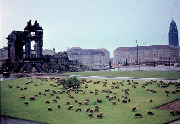 Как Восточная Германия строила коммунизм