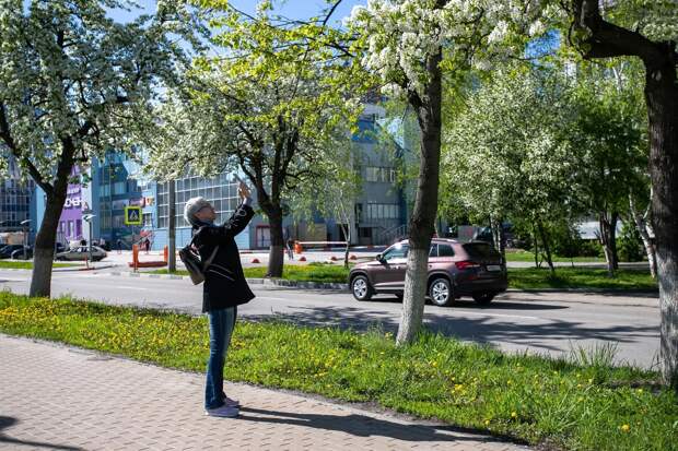 В Центральную Россию пришло июльское тепло