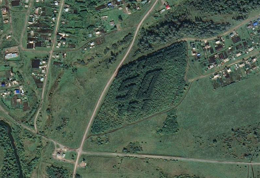 Советские надписи из деревьев, которые видно из космоса (ФОТО)