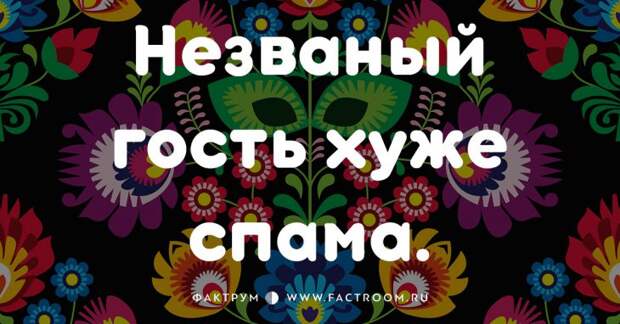 20 смешных современных поговорок, которых вы ещё не слышали 20 смешных современных поговорок, которых вы ещё не слышали