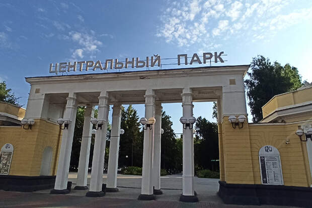 Собирать грибы в Центральном парке предложили жителям Новосибирска