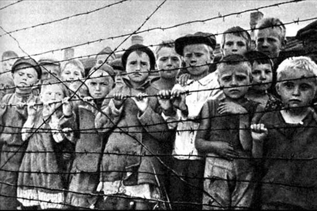 «Я номер 45528. Мое имя можно говорить только шепотом. Я — узник детского концлагеря Саласпилс». Три истории детей, которые ковали Победу
