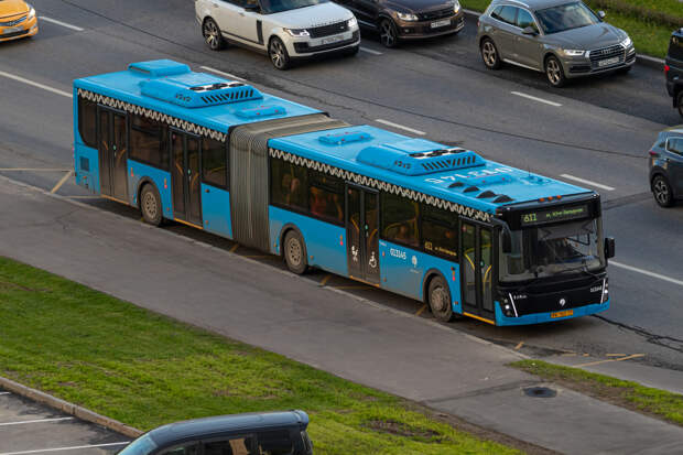 В Перми определены маршруты, на которые в 2025 году запустят автобусы-«гармошки»