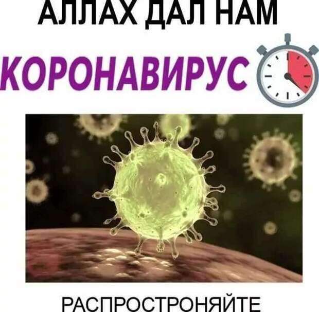 Демотиваторы про коронавирус с надписями. Подборка chert-poberi-dem-koronavirus-chert-poberi-dem-koronavirus-37280203102020-1 картинка chert-poberi-dem-koronavirus-37280203102020-1