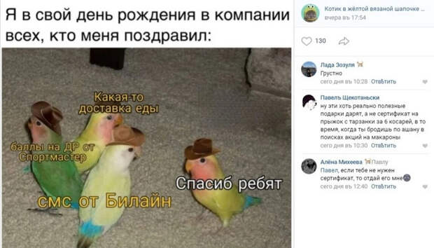 Мемы с попугами