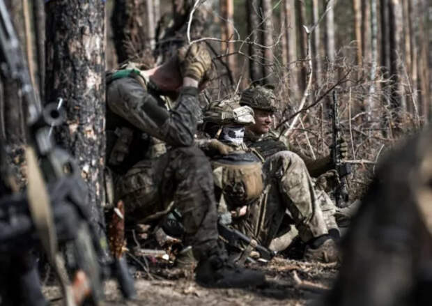 На Западе вычислили «виновников» зверств ВСУ в Курской области