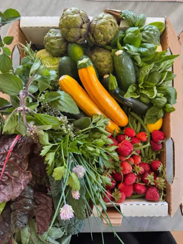 Фото Гвинет Пэлтроу