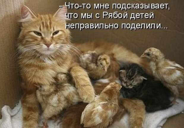 https://mur.tv/wp-content/uploads/2017/04/original-6-6.jpg