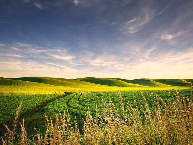 palouse-bounty-dan-mihai.jpg