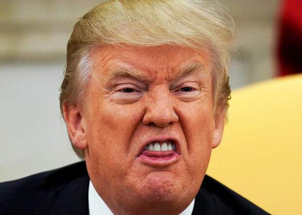 В Польше ждут извинений от Трампа за грубые слова о союзниках США по НАТО