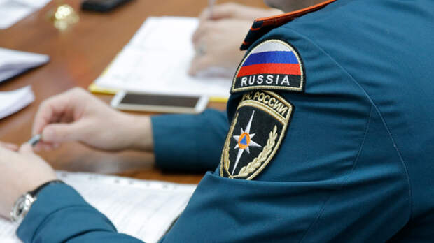 В киберполиции предупредили о фейковом чат-боте ФНС России