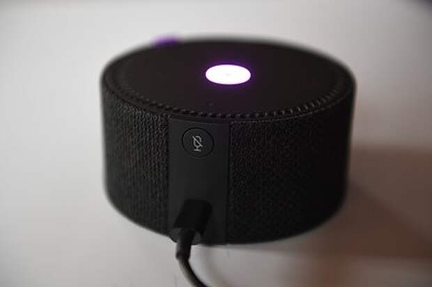 Глава СПЧ призвал россиян отказаться от умных колонок из‑за мошенников